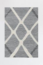 Load image into Gallery viewer, Amalia Grey Rug