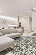 Load image into Gallery viewer, Delphina Black & White Rug