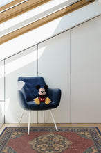 Load image into Gallery viewer, FALSE