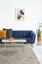 Load image into Gallery viewer, FALSE