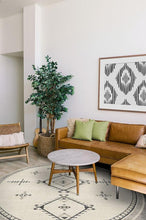 Load image into Gallery viewer, Damali Black &amp; White Rug
